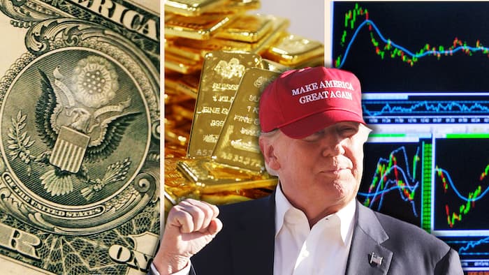 trumpgreatbull-161110